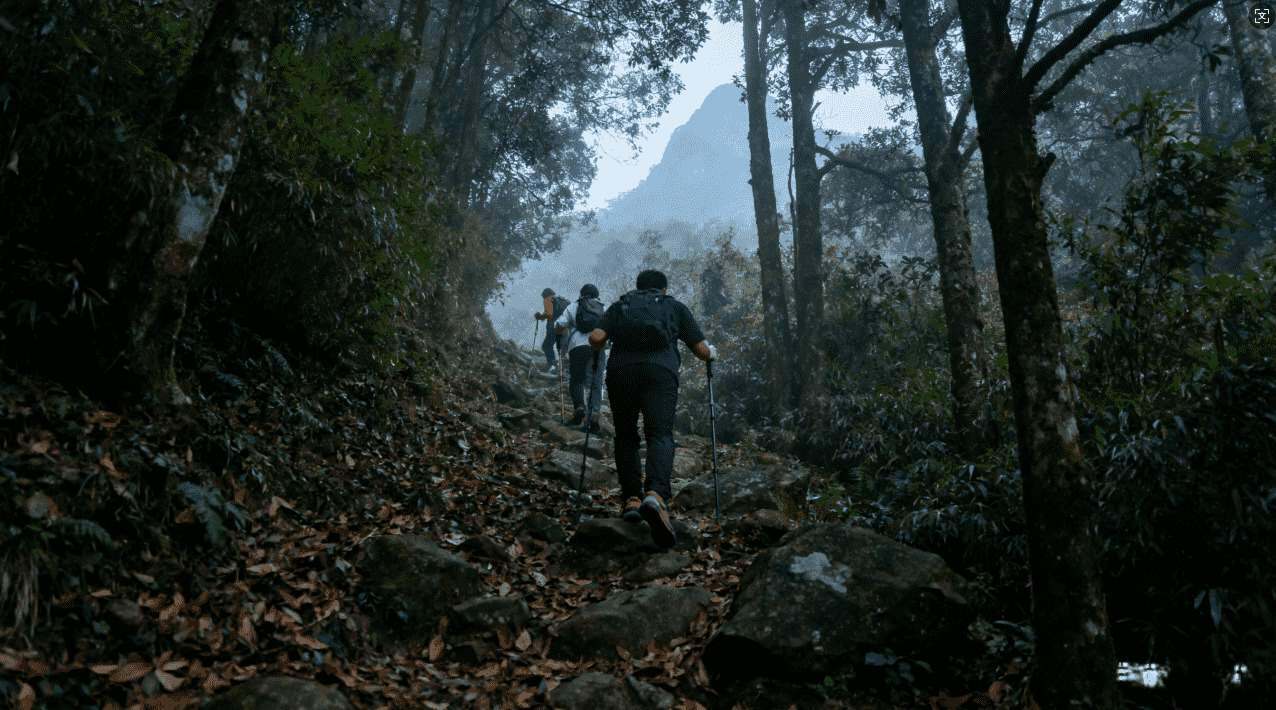 提升网络连接速度的梯子加速器使用方法介绍
